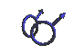 Gay Male animation